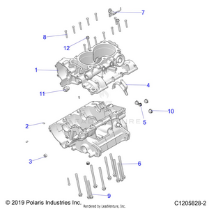 Engine, Crankcase - Z21rau92an/bn (c1205828-2) Schematic