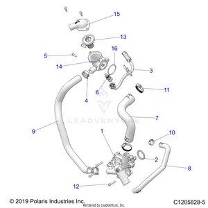 Engine, Waterpump And Bypass - Z21rau92an/bn (c1205828-5) Schematic