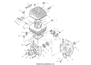 Crankcase And Cylinder - A02cg25ca (4969856985c08) Schematic