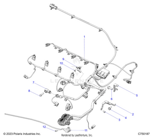 Electrical, Wire Harness, Engine  - Z25r4d2kak/bk/aj/bj/am/bm (c750187) Schematic