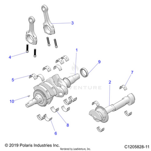 Engine, Crankshaft And Bearings - Z21rau92an/bn (c1205828-11) Schematic