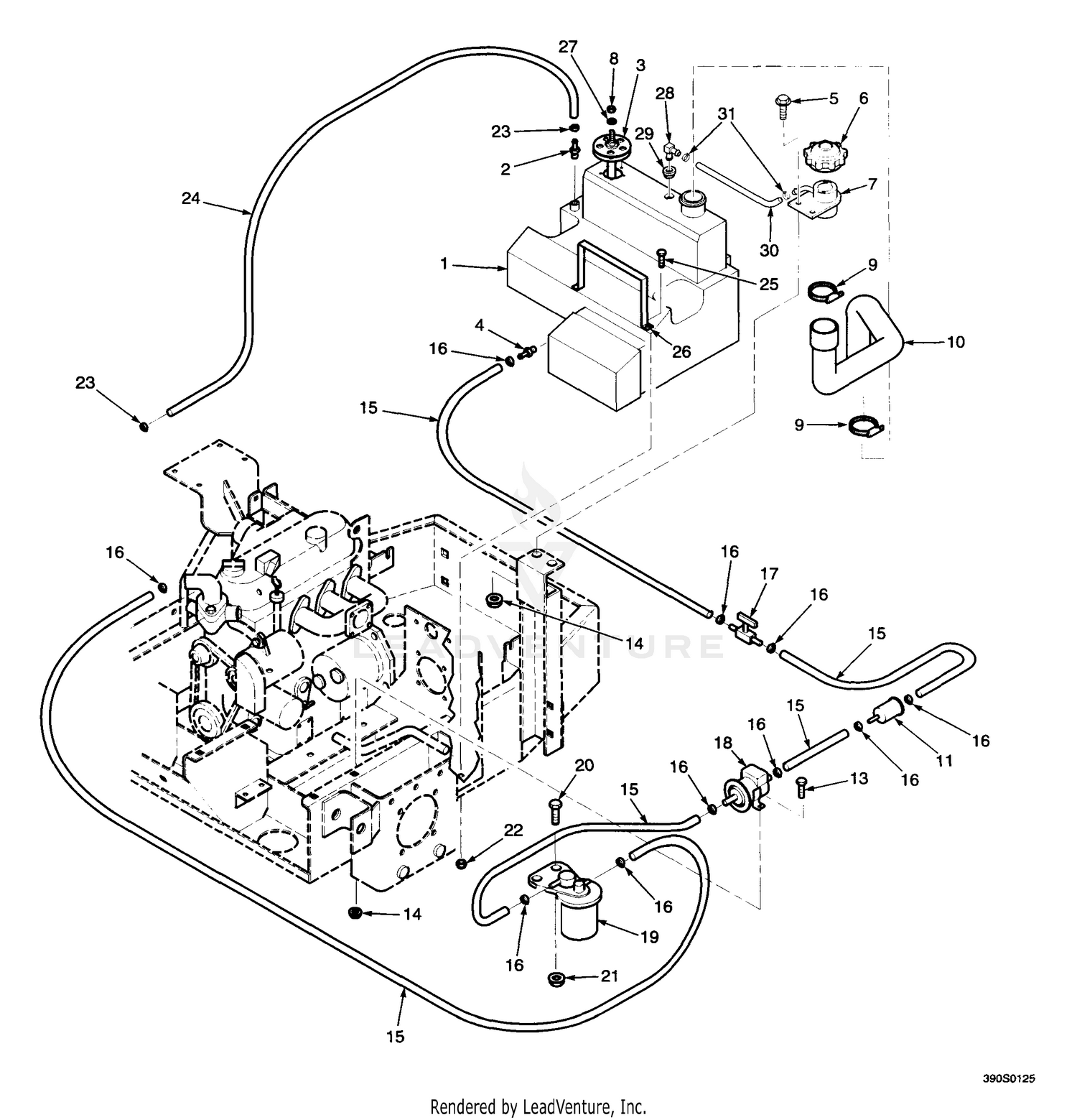 Fuel Tank And Lines