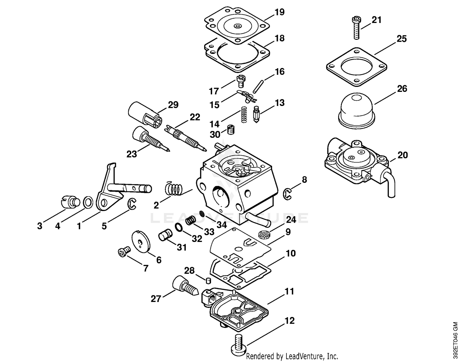 AW - Carburetor C1Q-S66 (36.2002)