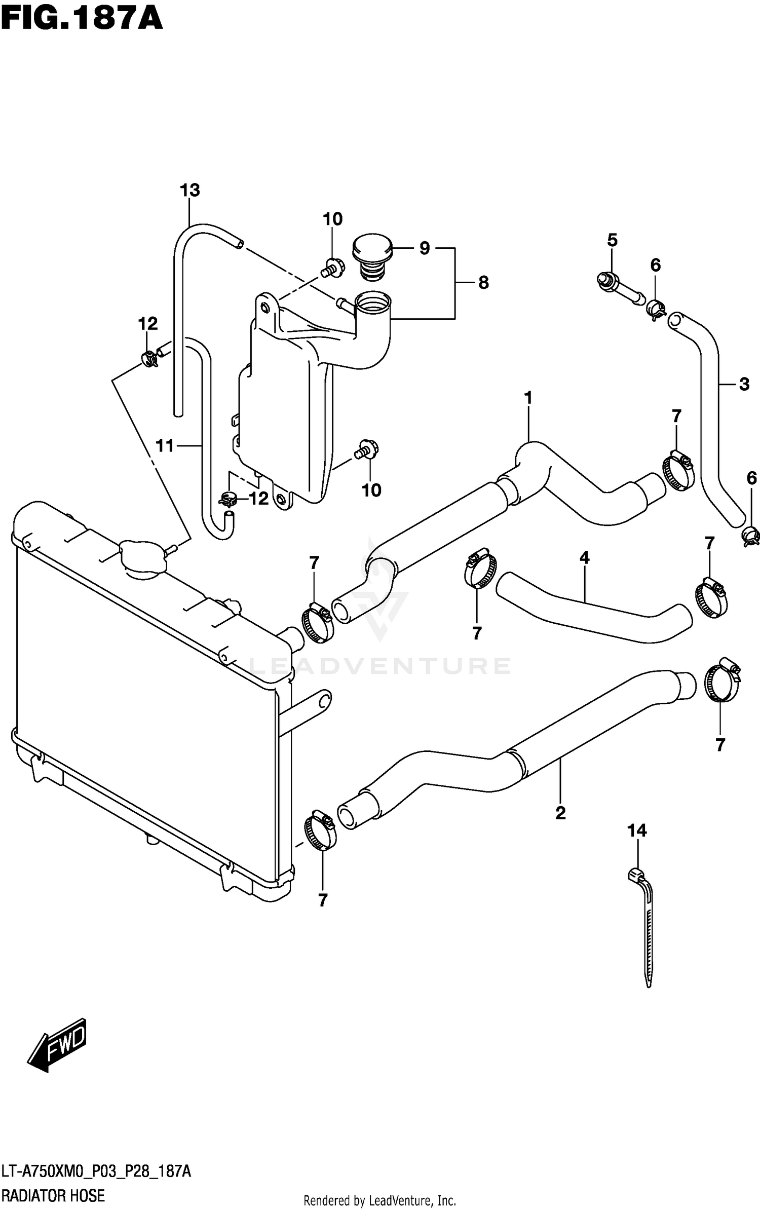 RADIATOR HOSE