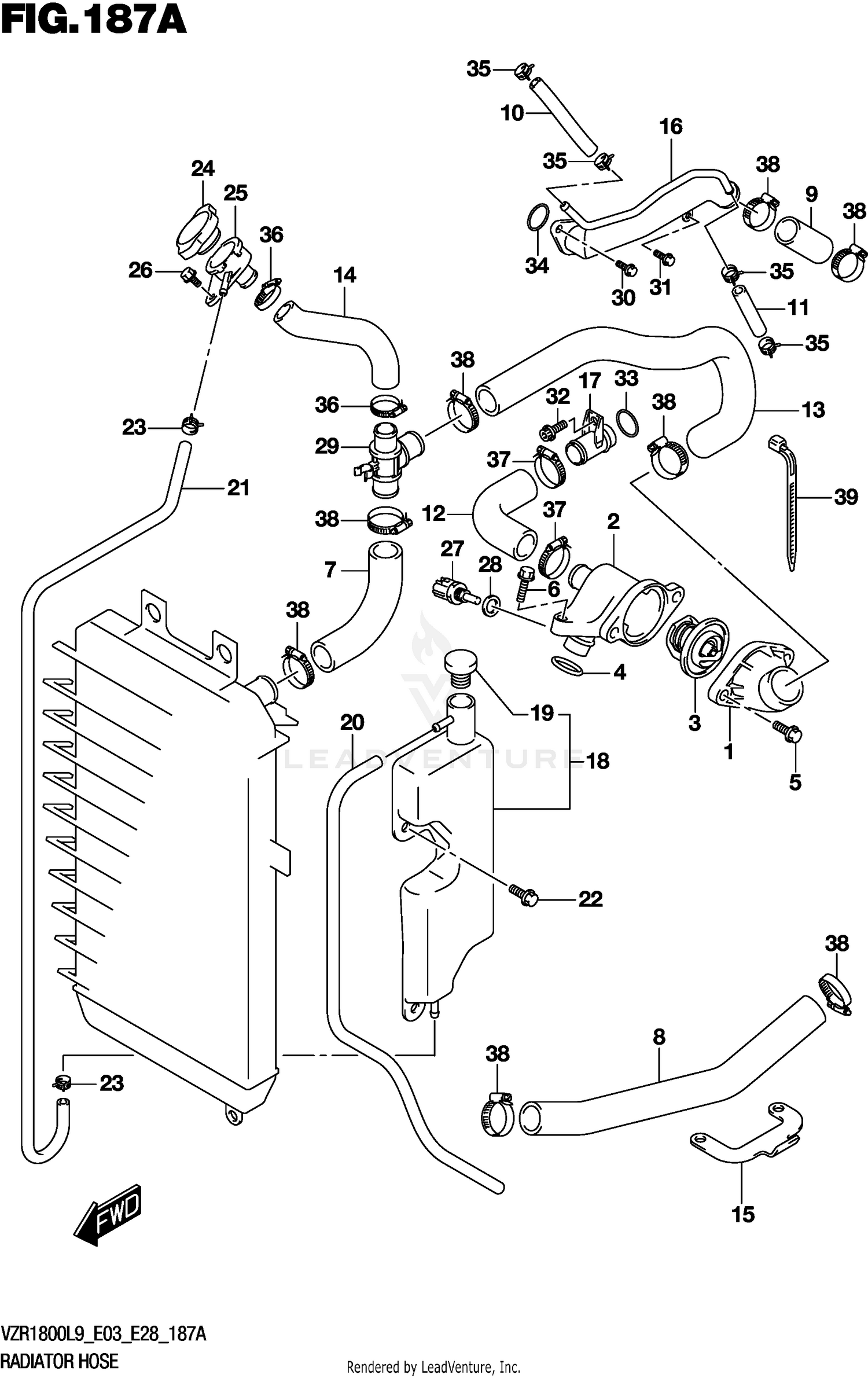 RADIATOR HOSE