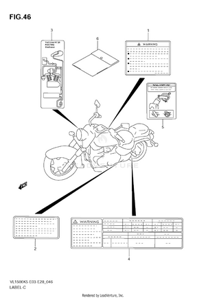 Label Schematic