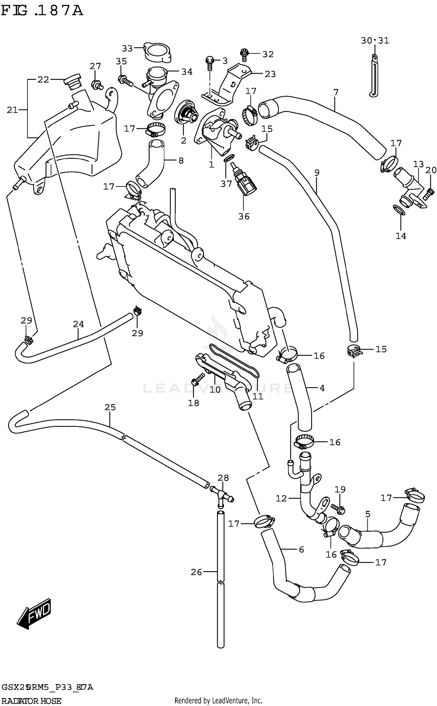 RADIATOR HOSE