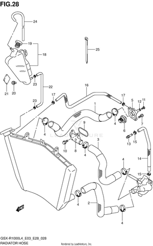 Radiator Hose Schematic