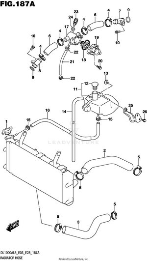 Radiator Hose Schematic