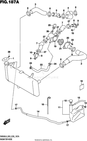 Radiator Hose Schematic