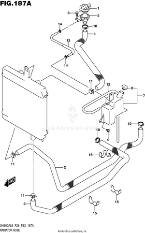 Radiator Hose Schematic