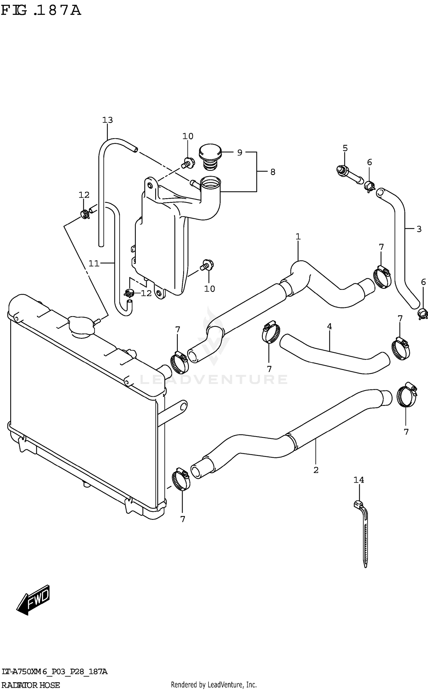 RADIATOR HOSE