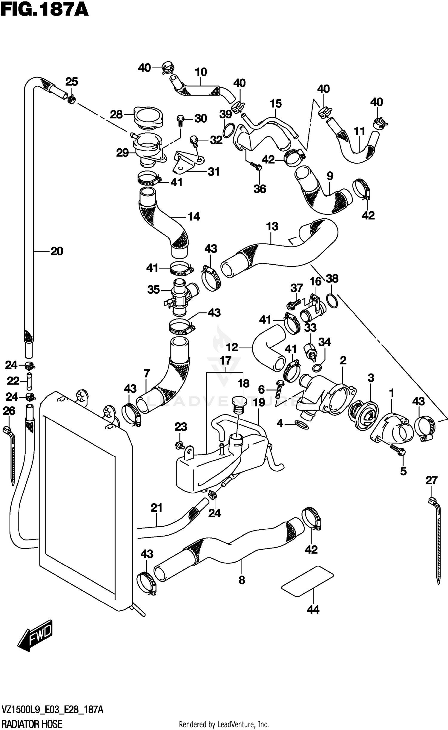 RADIATOR HOSE