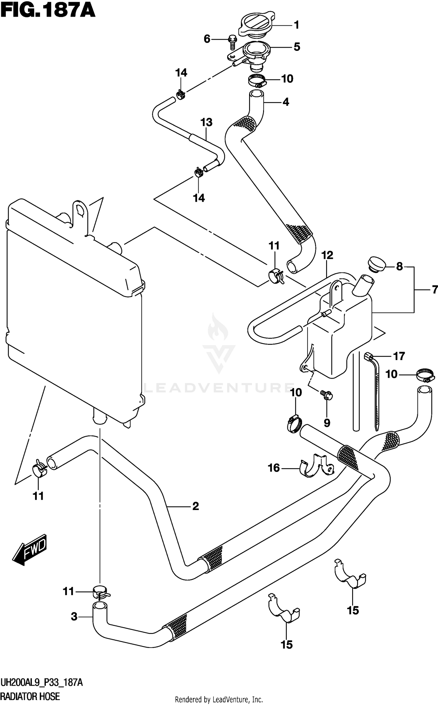 RADIATOR HOSE