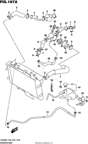 Radiator Hose Schematic