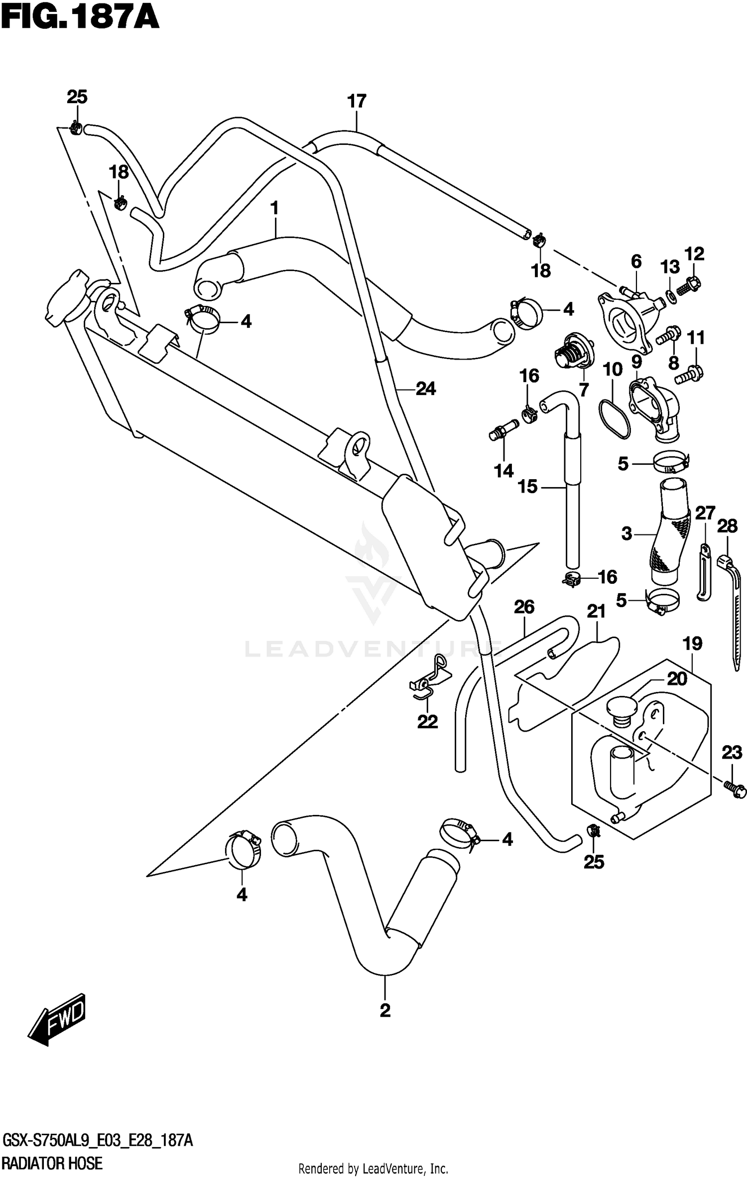 RADIATOR HOSE