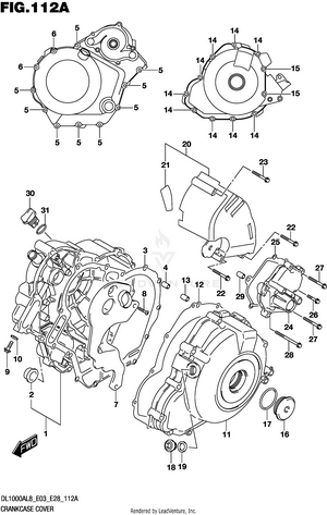 Crankcase Cover Schematic