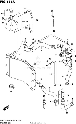 Radiator Hose Schematic