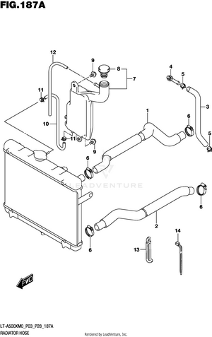 Radiator Hose Schematic