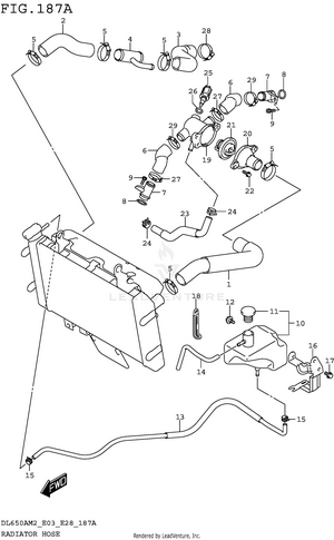 Radiator Hose Schematic
