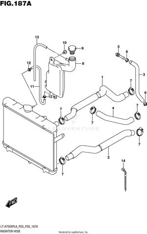 Radiator Hose Schematic