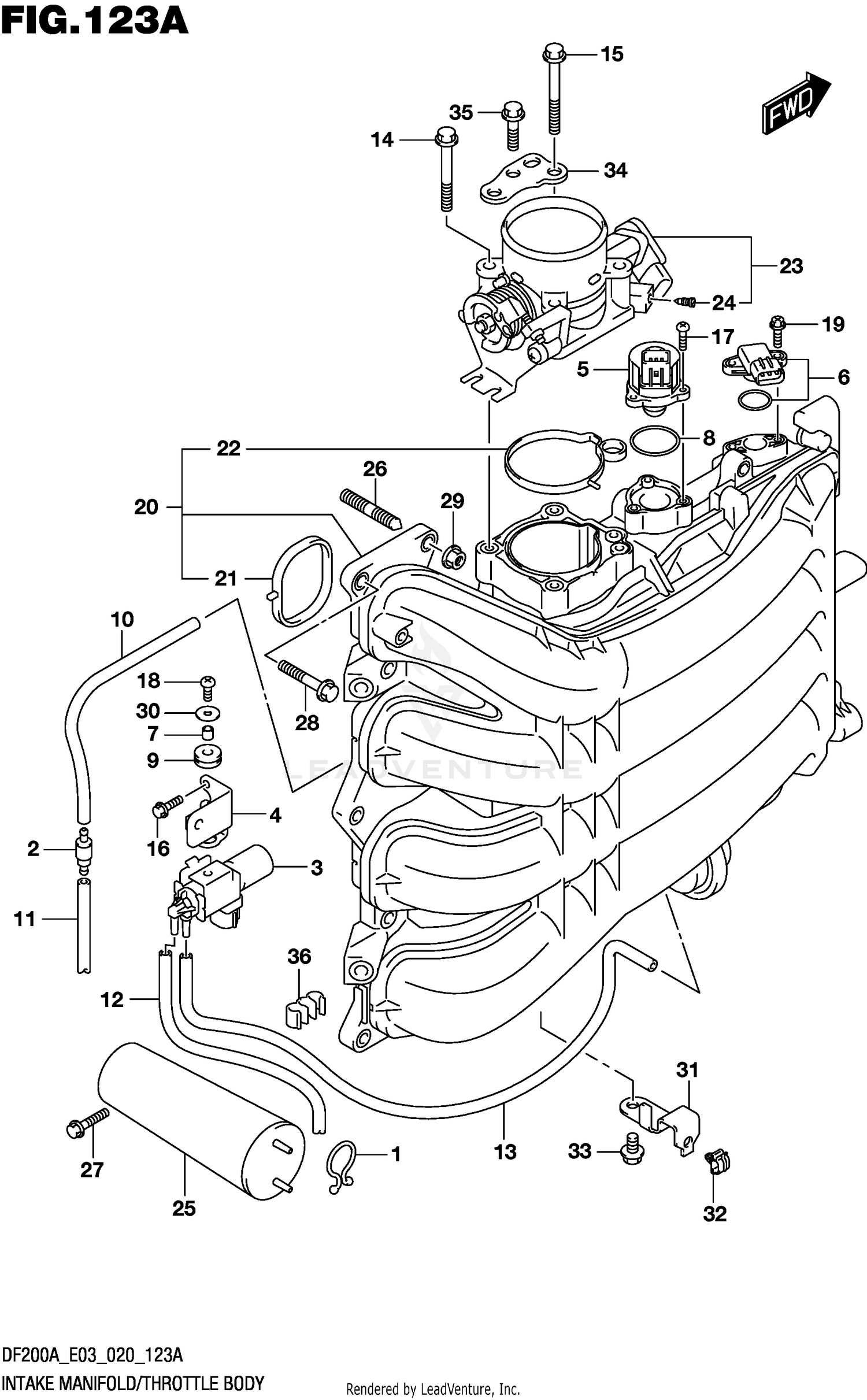 INTAKE MANIFOLD/THROTTLE BODY