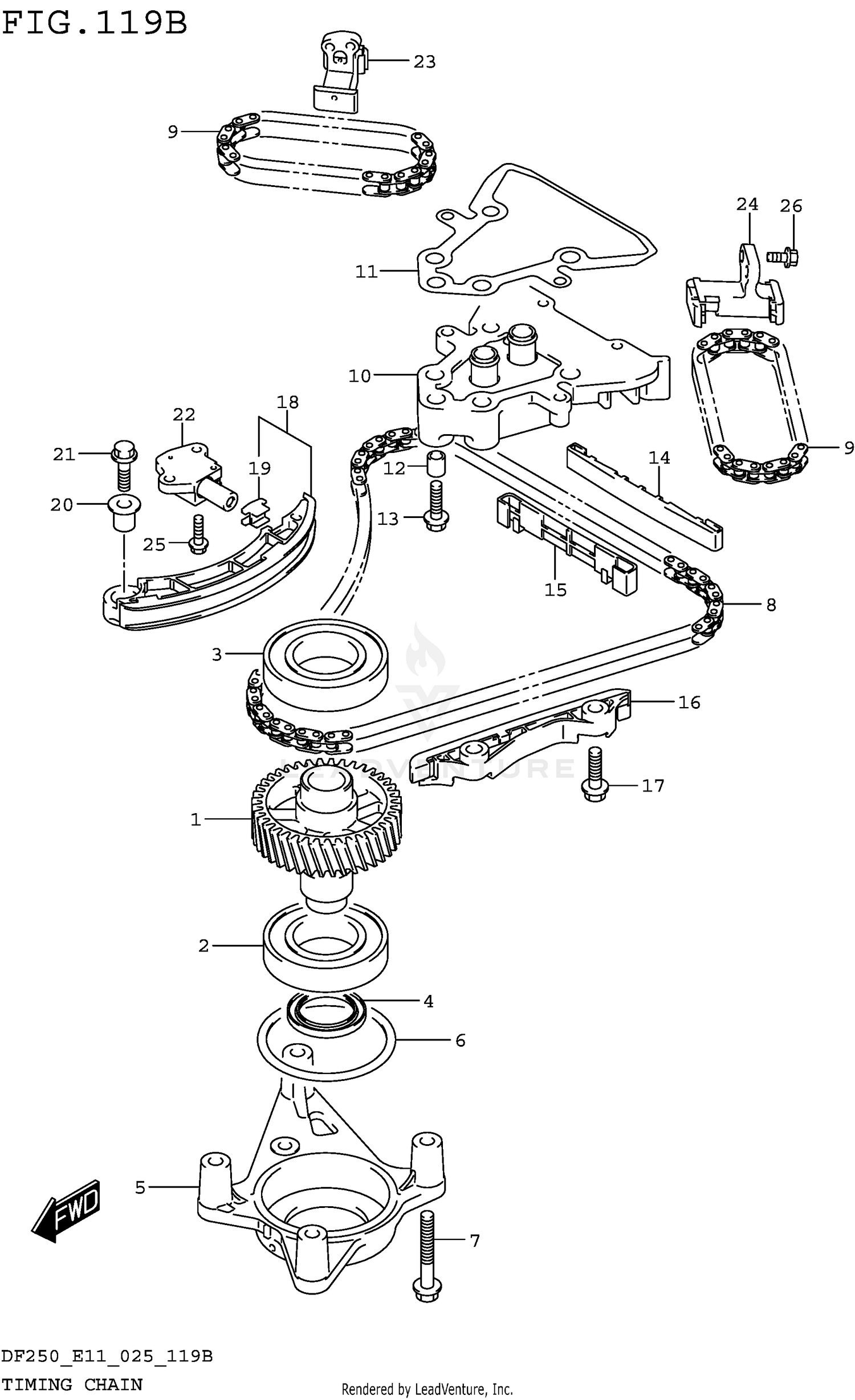 TIMING CHAIN (DF250ST)