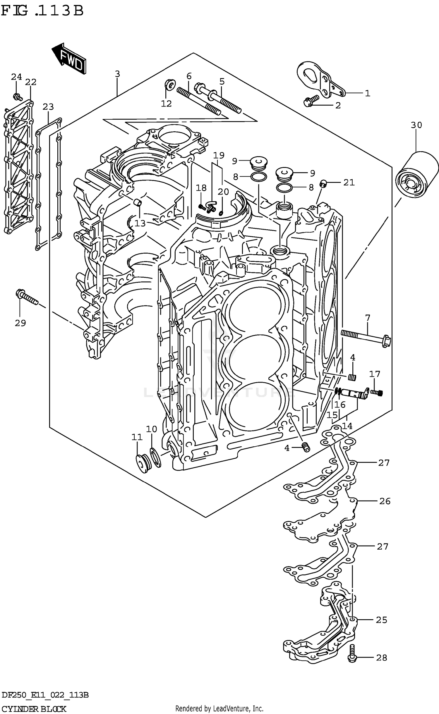 CYLINDER BLOCK (DF250ST)