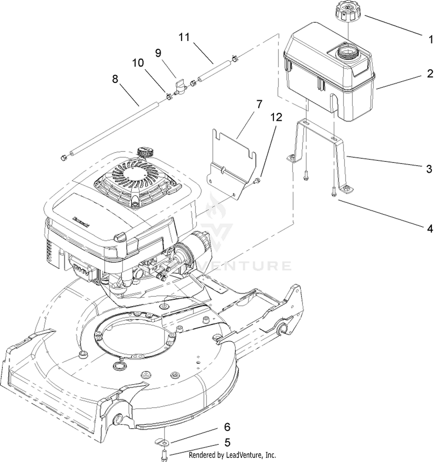 Fuel Line and Tank Assembly