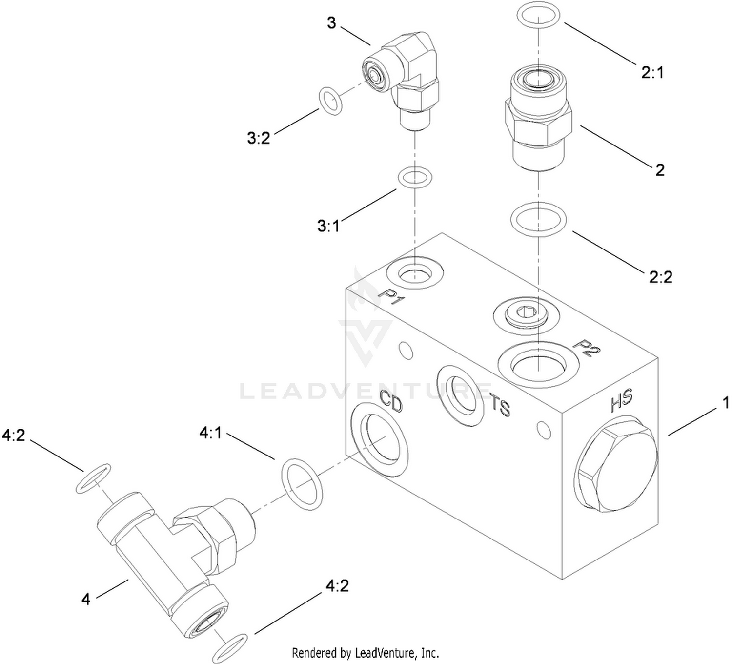 Flush Manifold Assembly