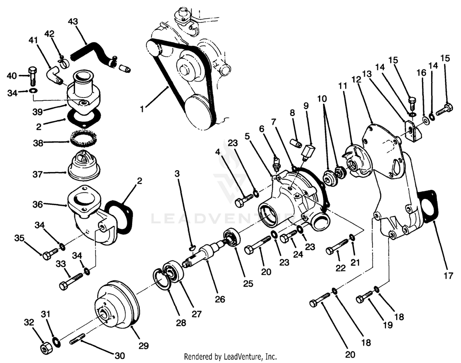 Water Pump Assembly