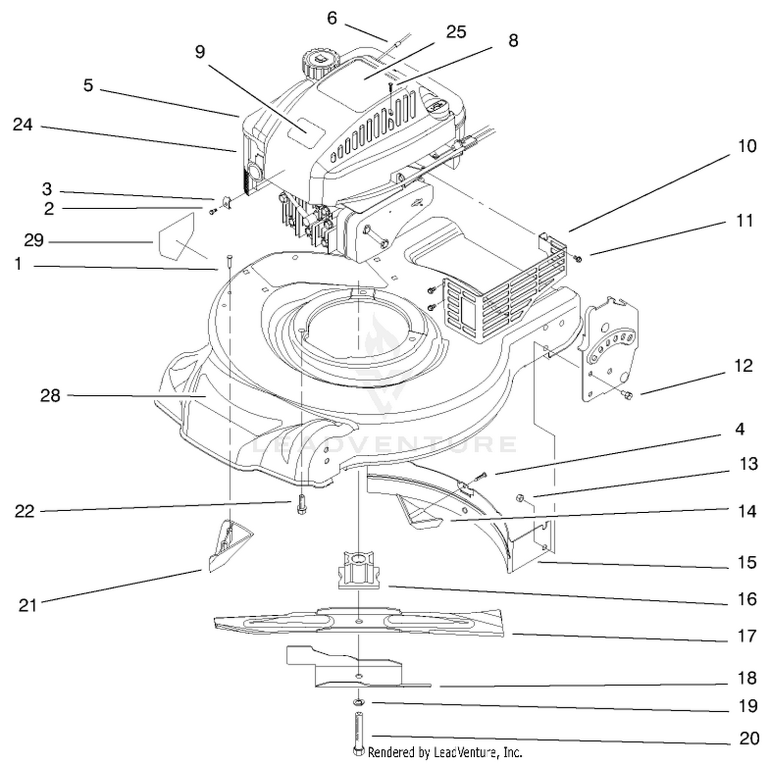 Engine Assembly