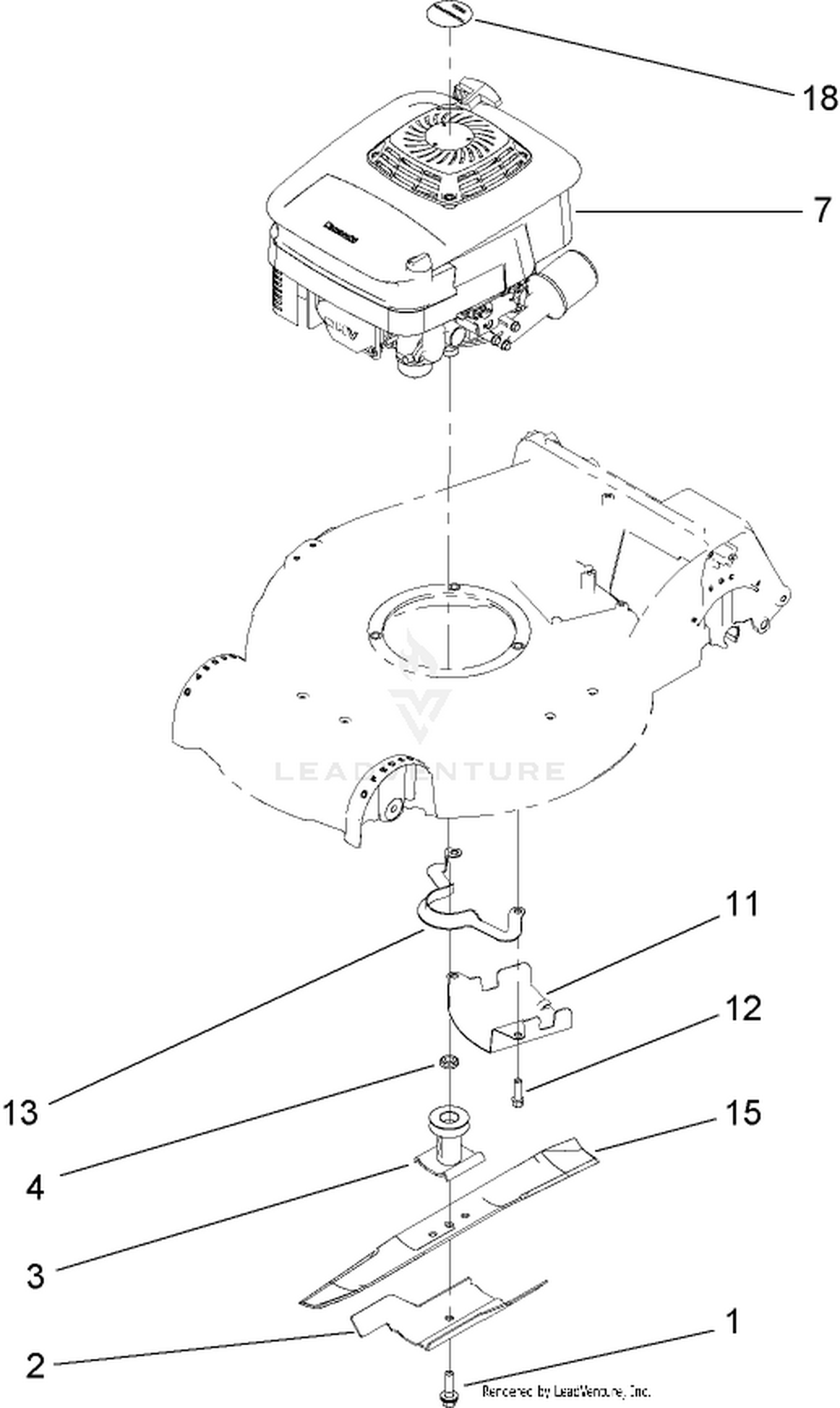 Engine Assembly