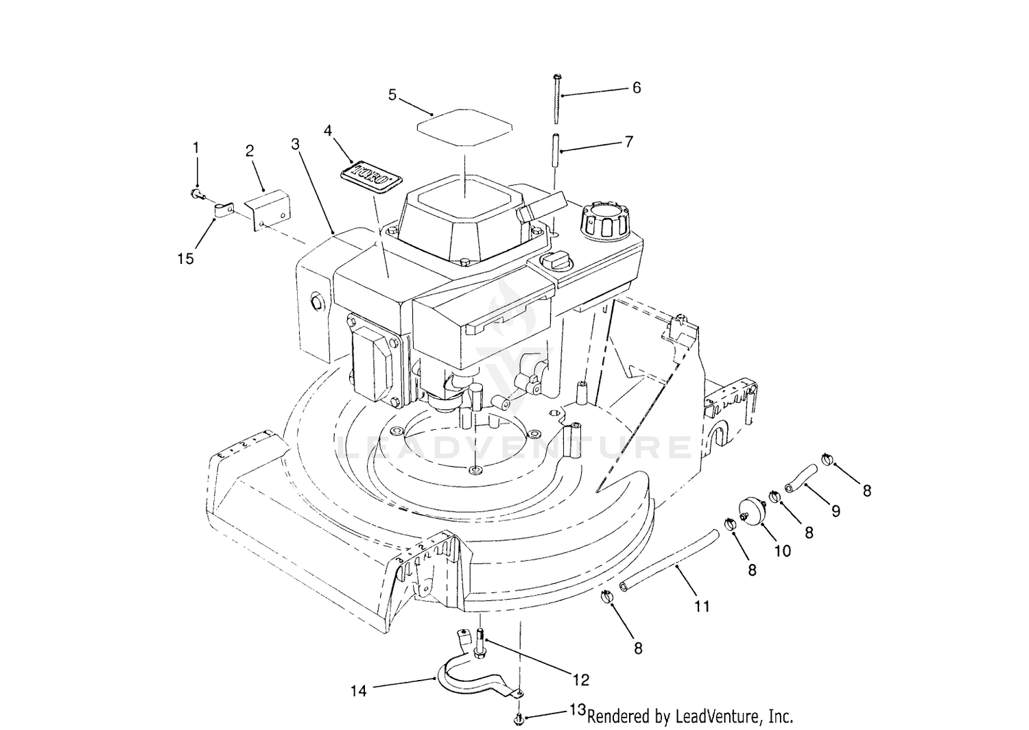 Engine Assembly