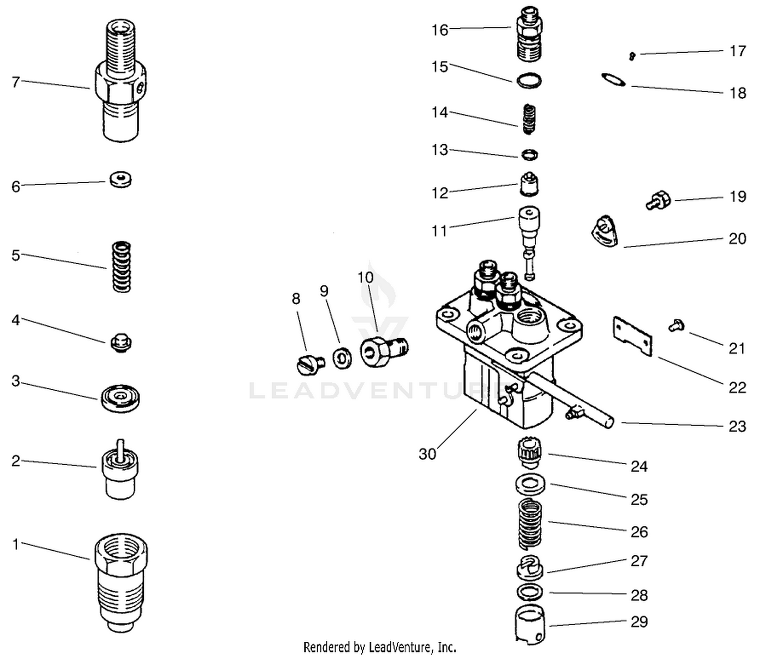 Fuel Injection Pump Assembly