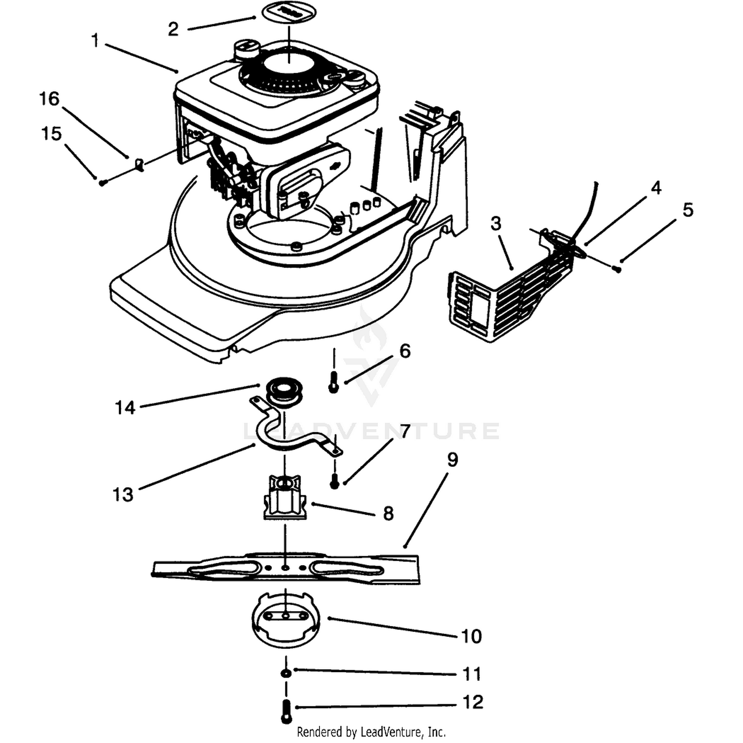 Engine Assembly