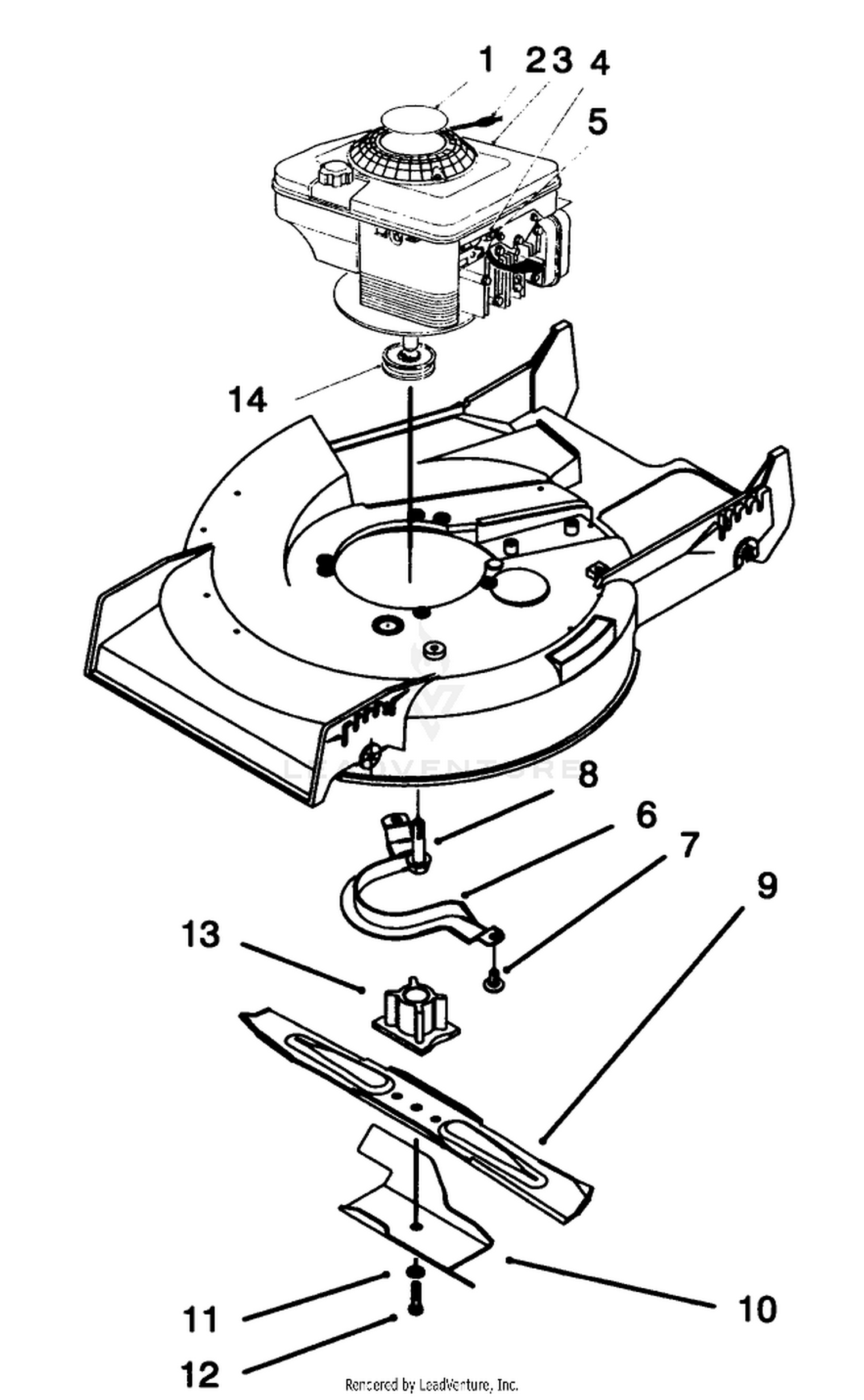 Engine Assembly