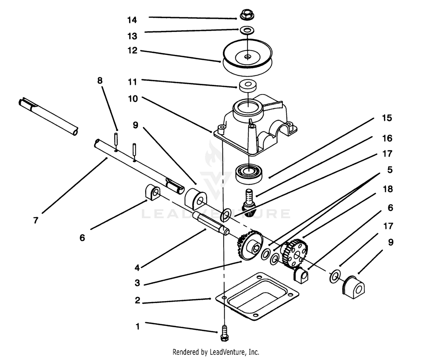 Gear Case Assembly