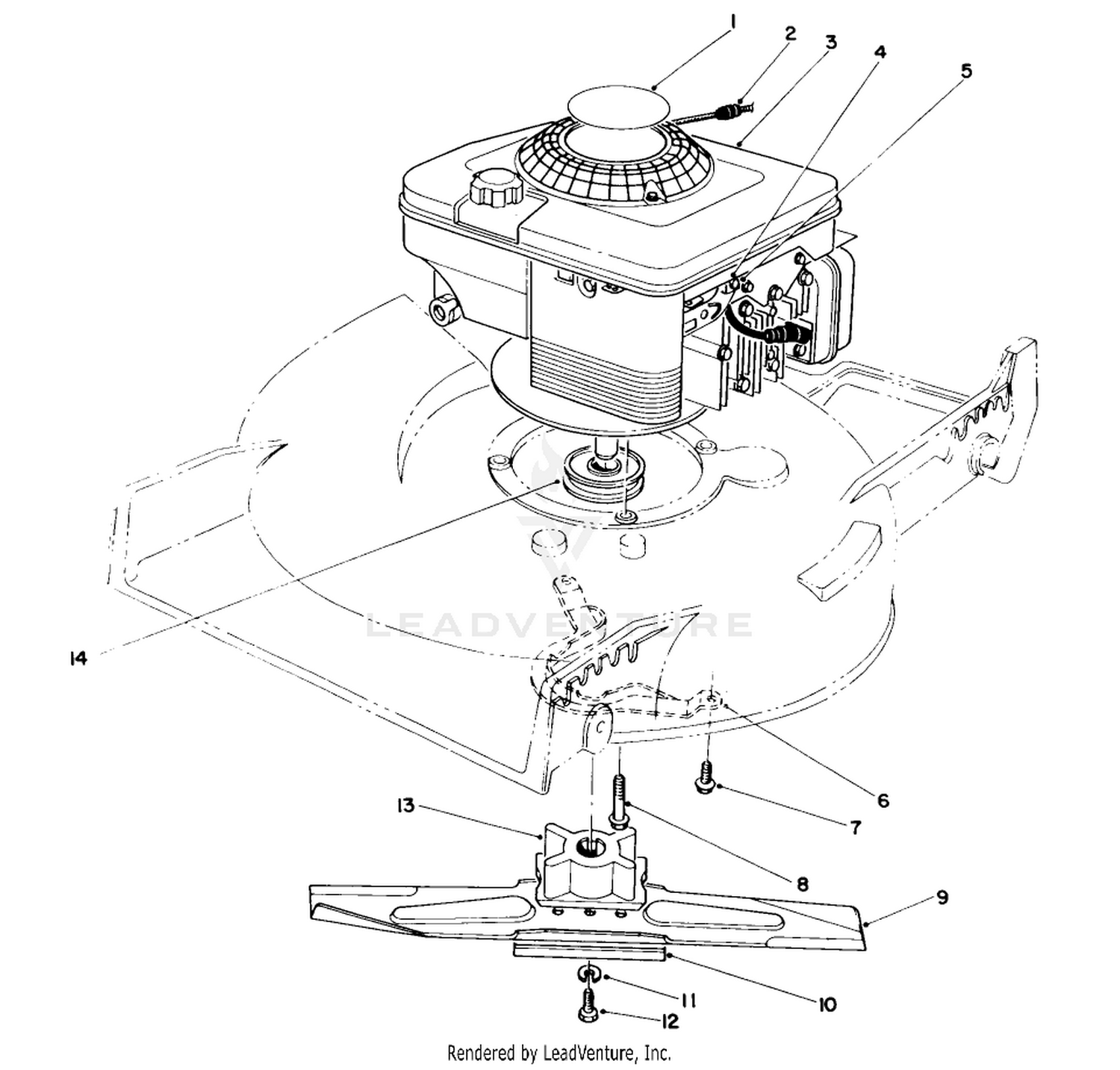 Engine Assembly