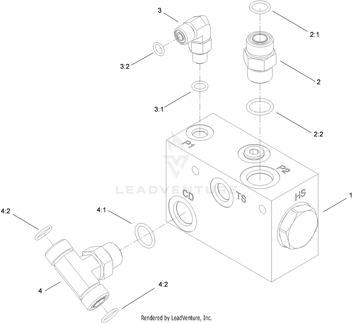 Flush Manifold Assembly