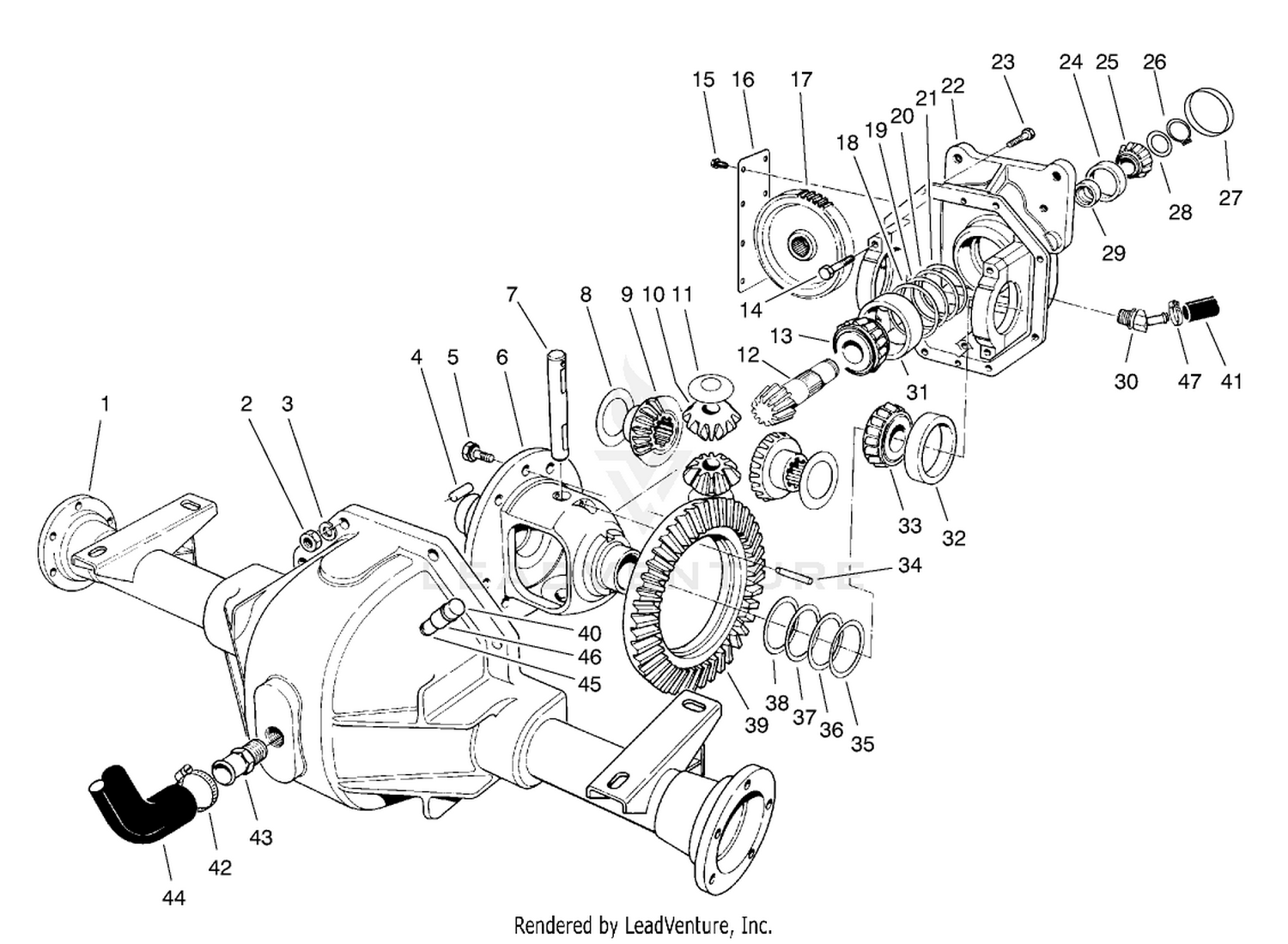 Differential Assembly