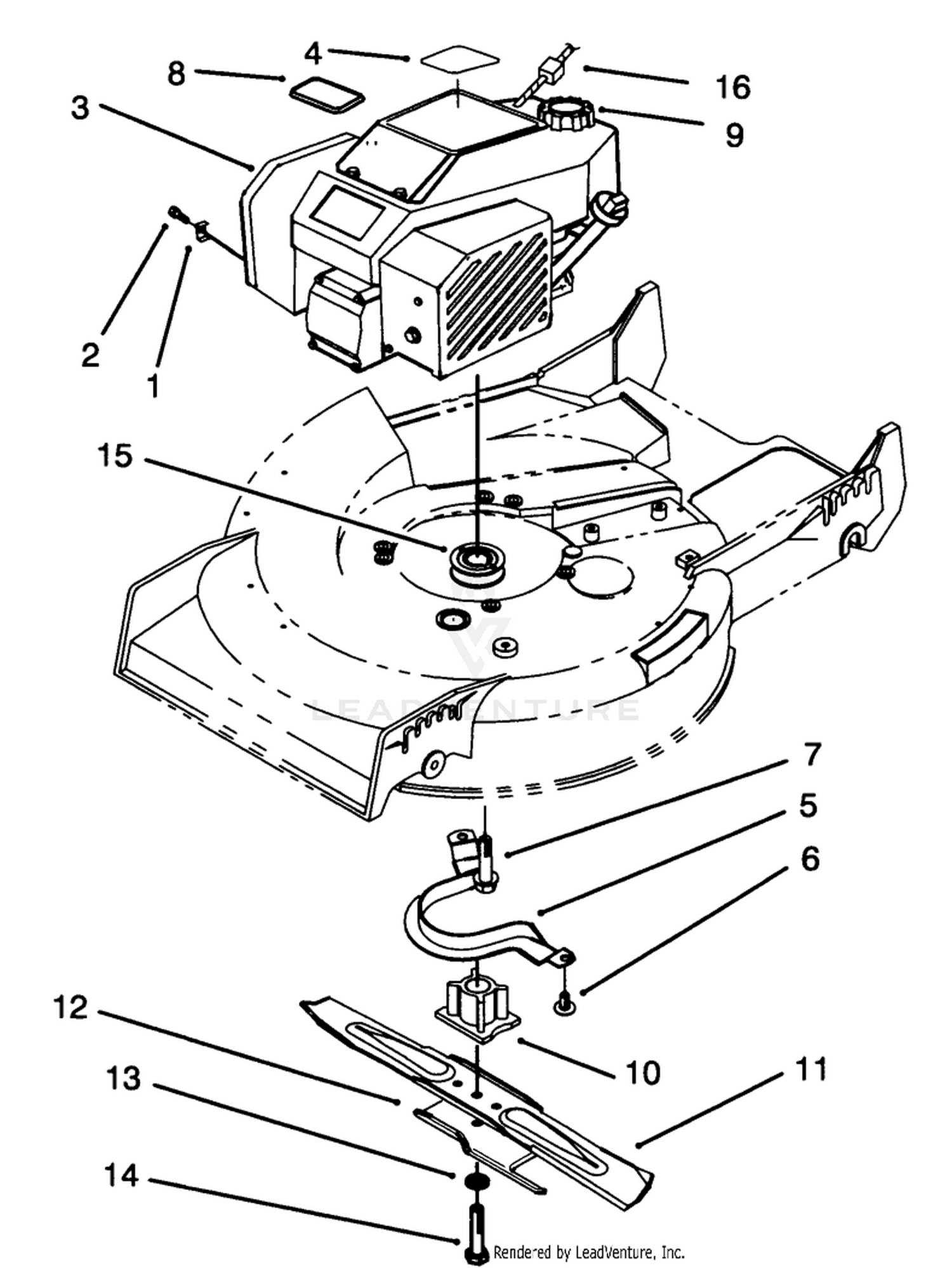Engine Assembly