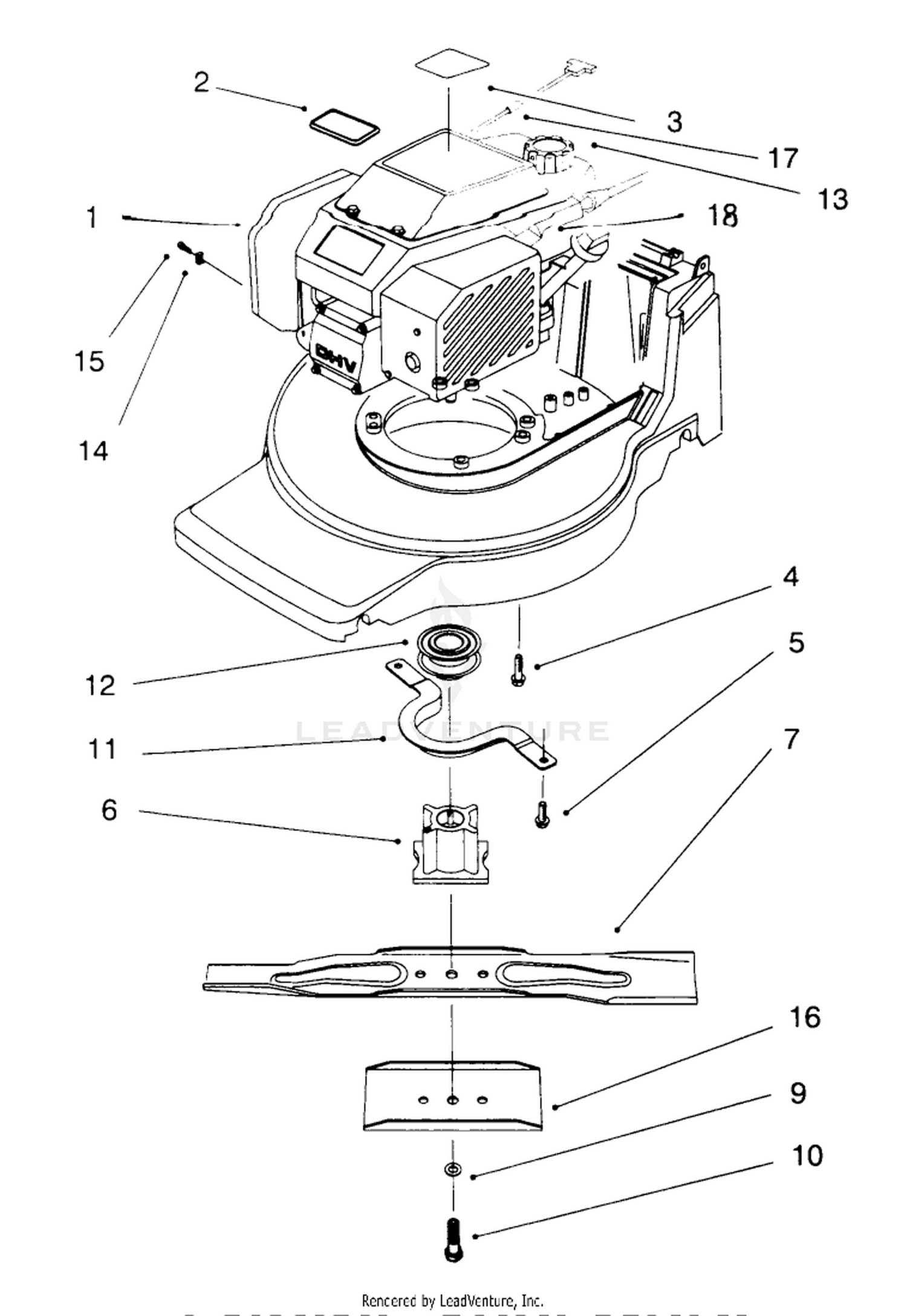 Engine Assembly