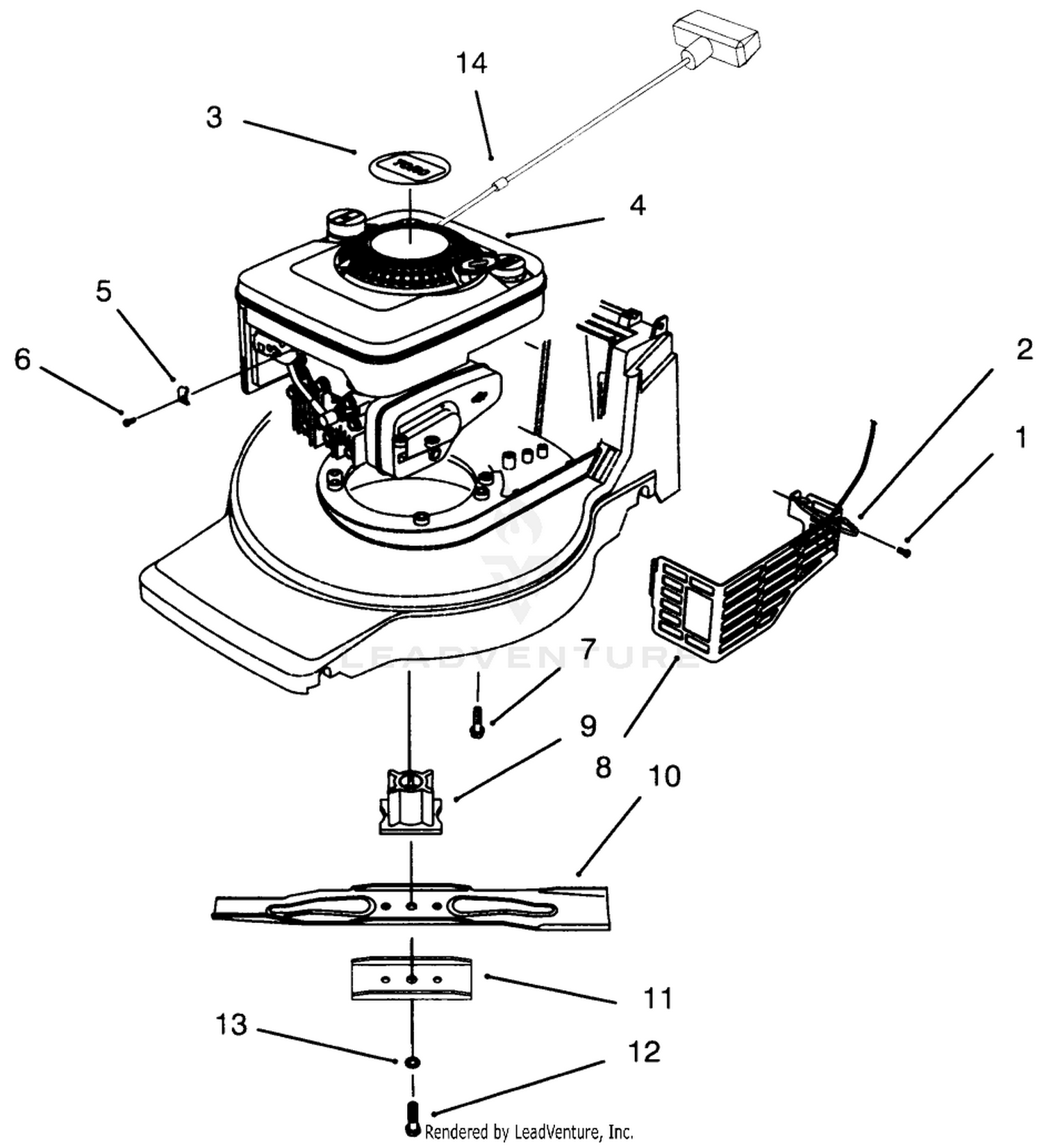 Engine Assembly