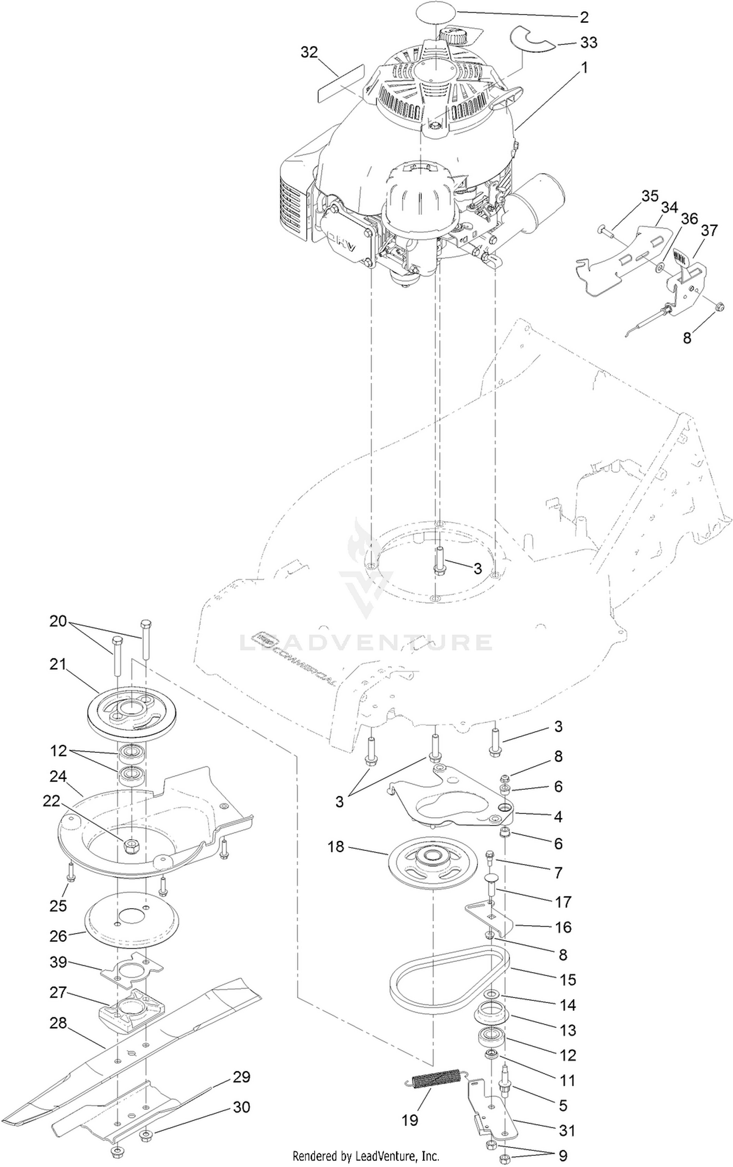 Engine Assembly