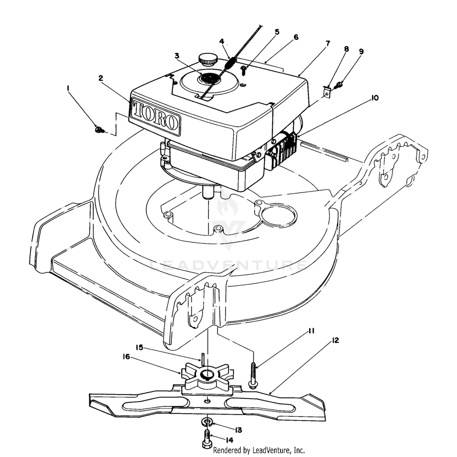 Engine Assembly