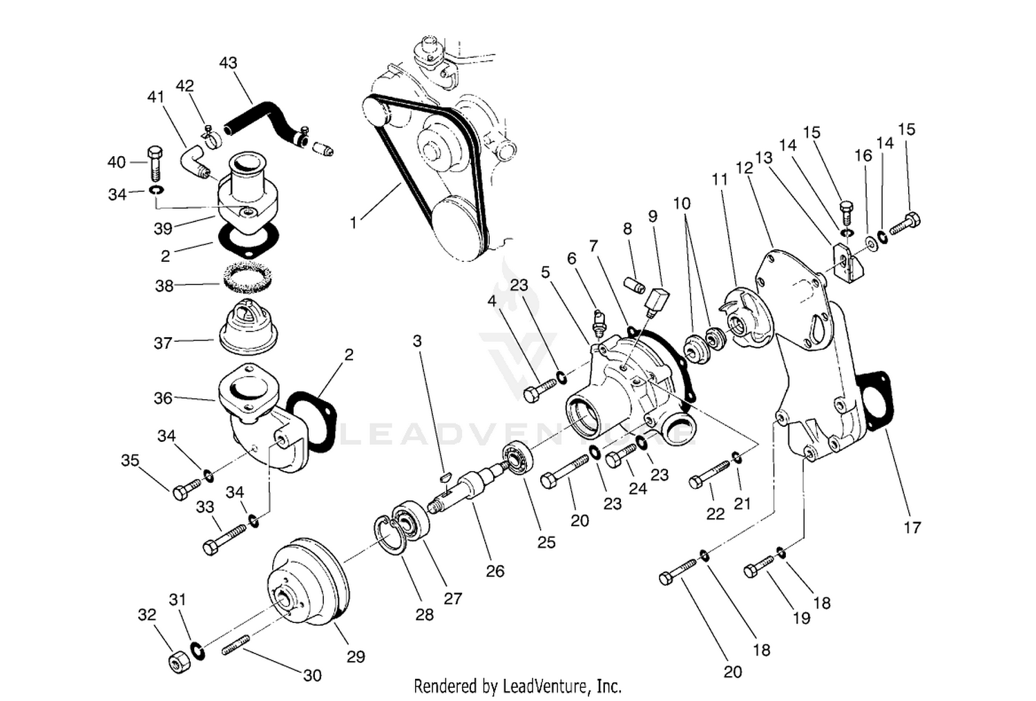 Water Pump Assembly