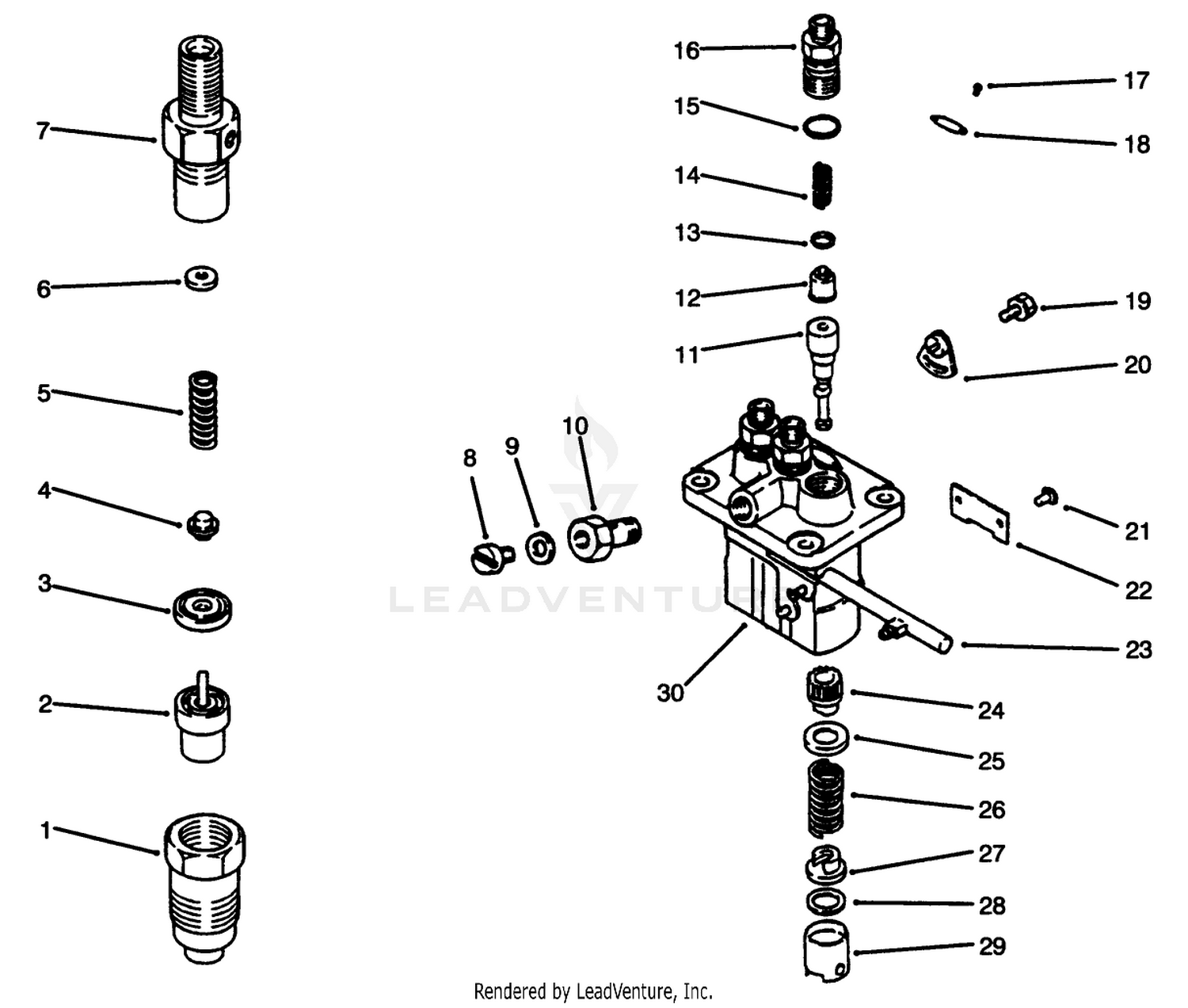 Fuel Injection Pump Assembly