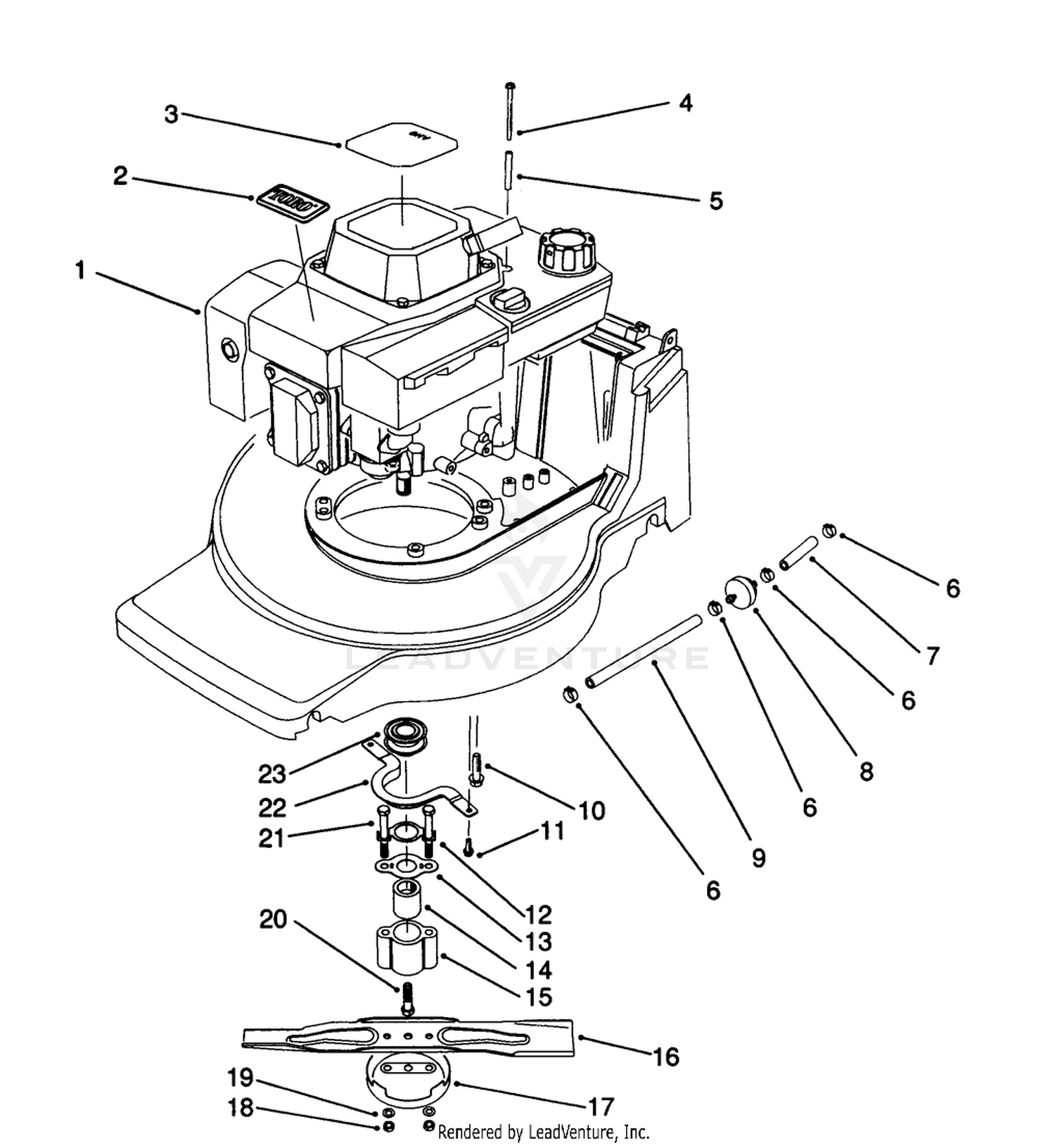 Engine Assembly