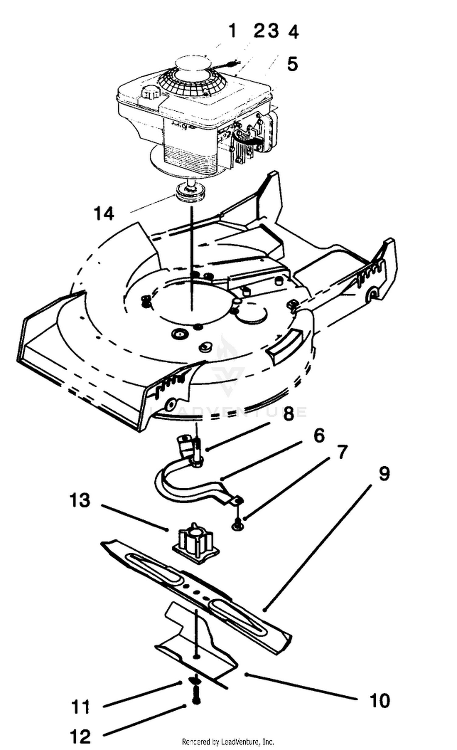 Engine Assembly